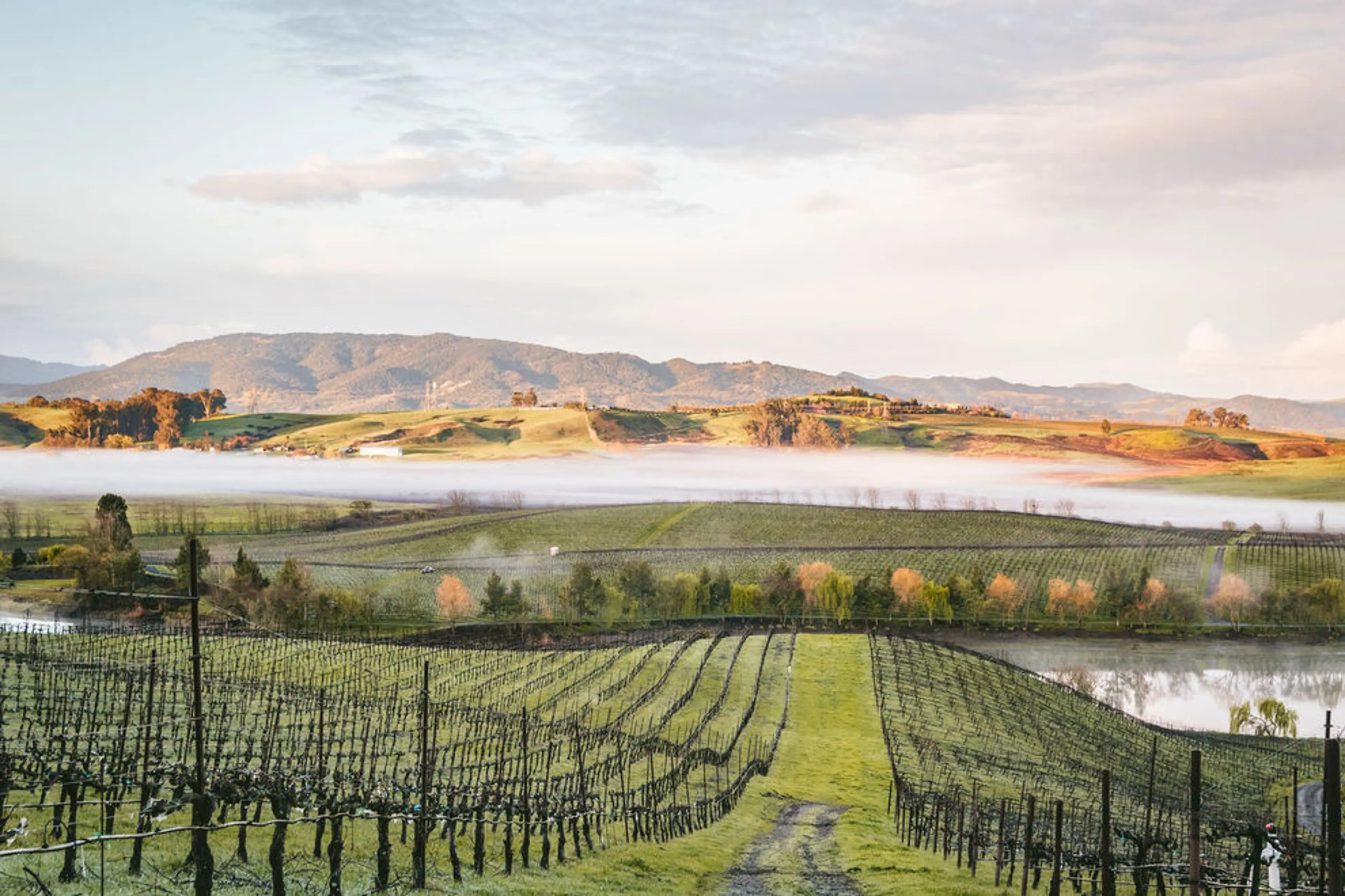 Finger Lakes wines and spirits