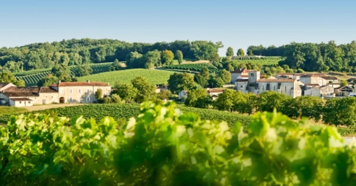 Cognac wines and spirits
