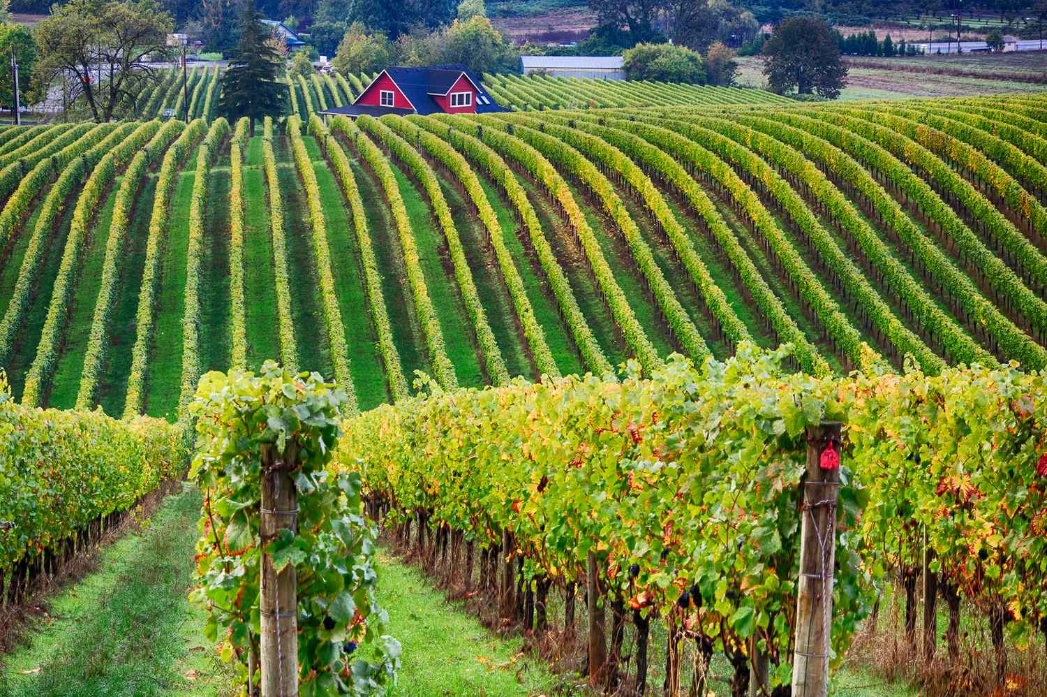 Willamette Valley
