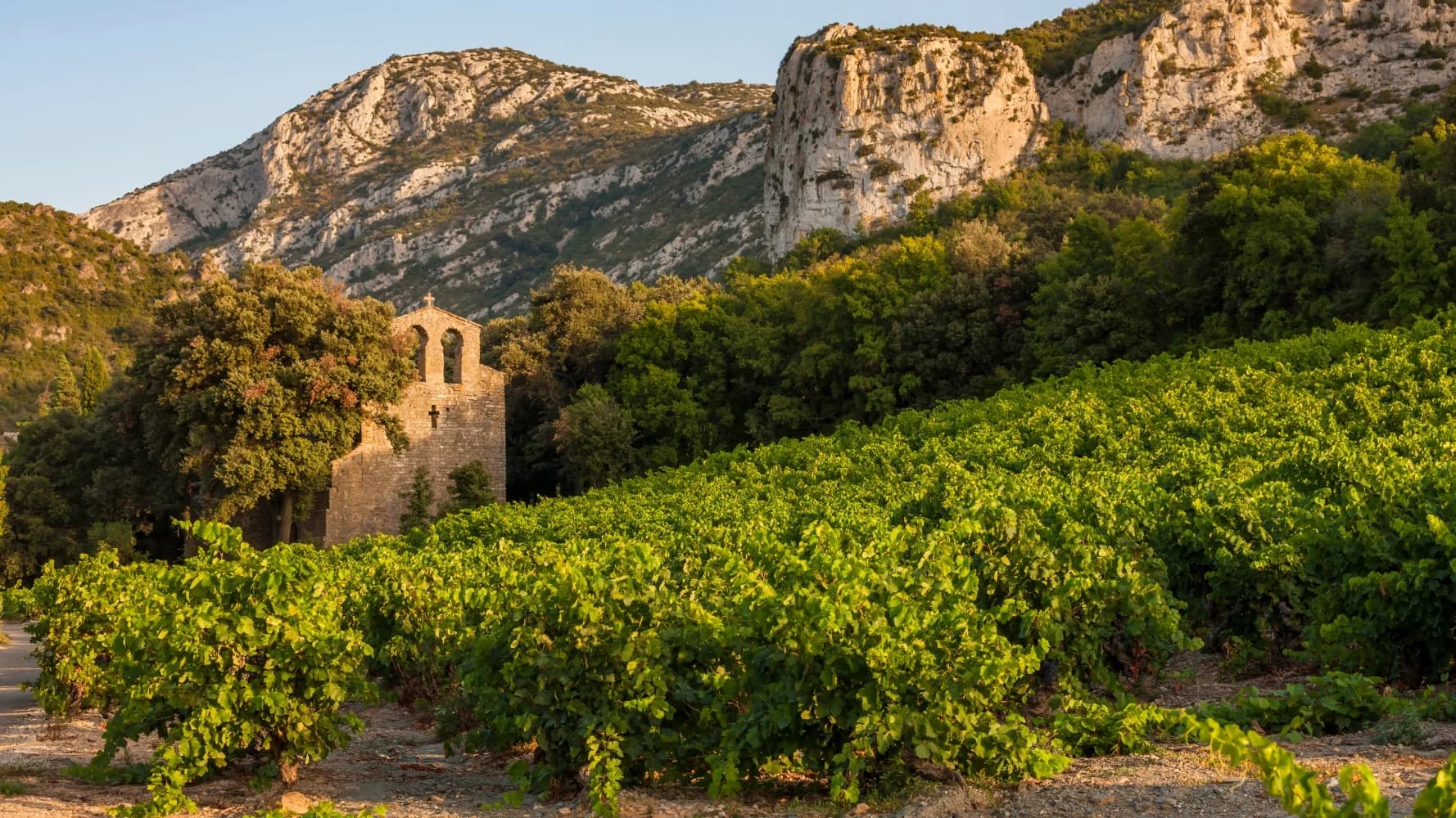 Languedoc wines and spirits