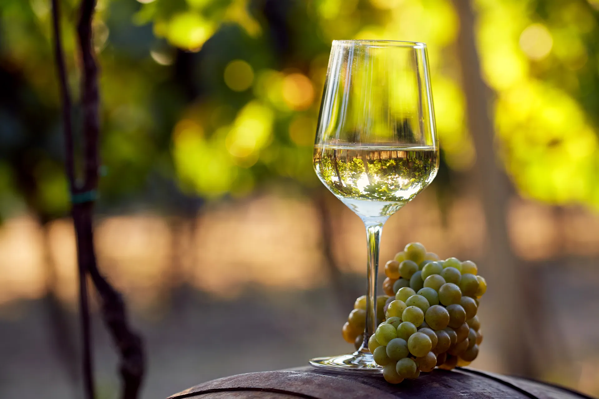 White Blend