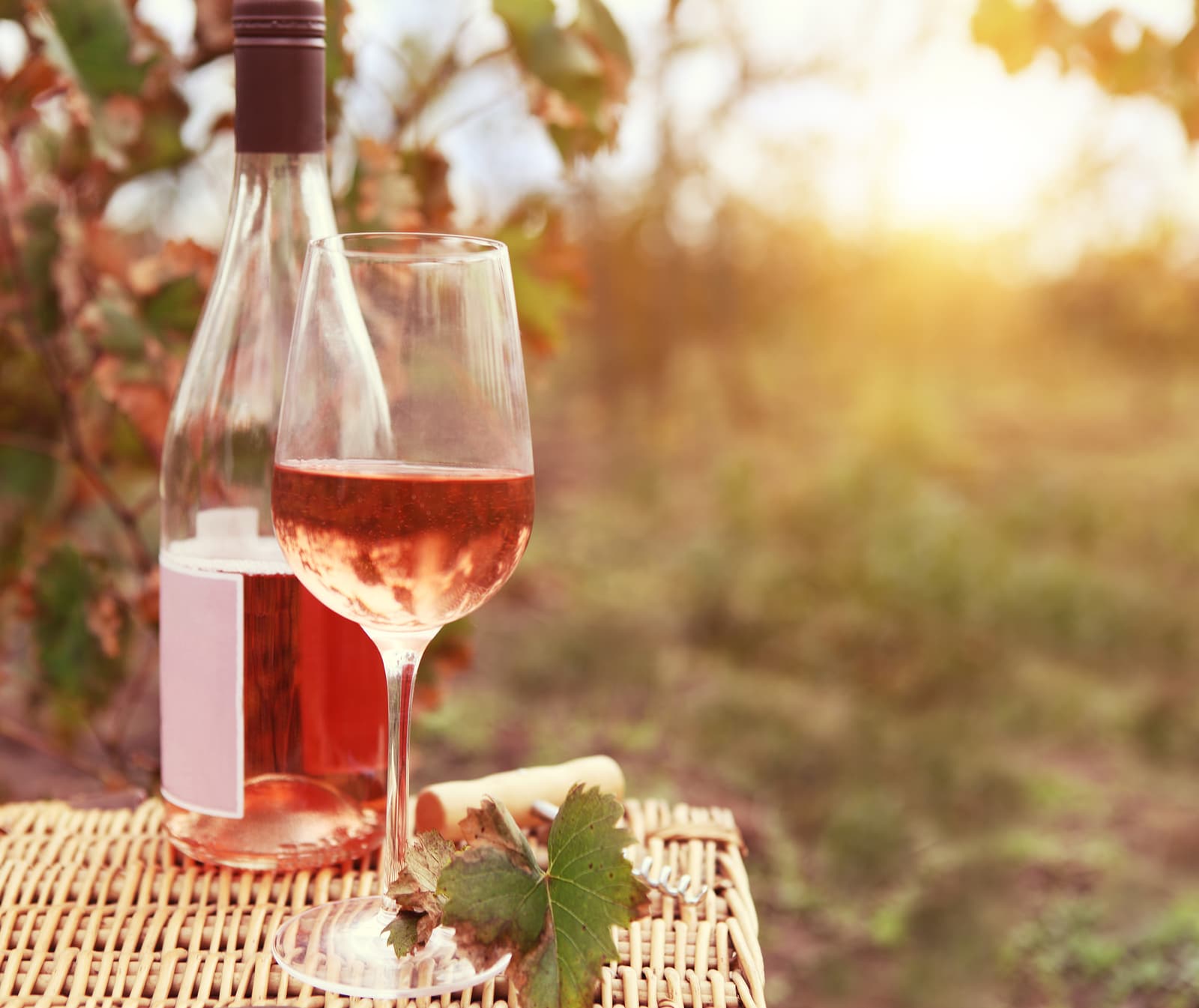 Rose Wine