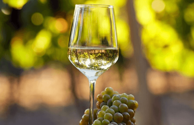 Sauvignon Blanc