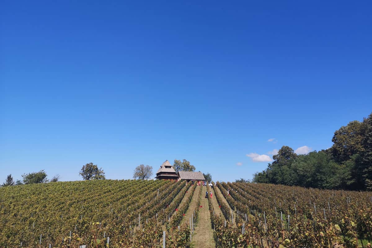 Jutland wines and spirits