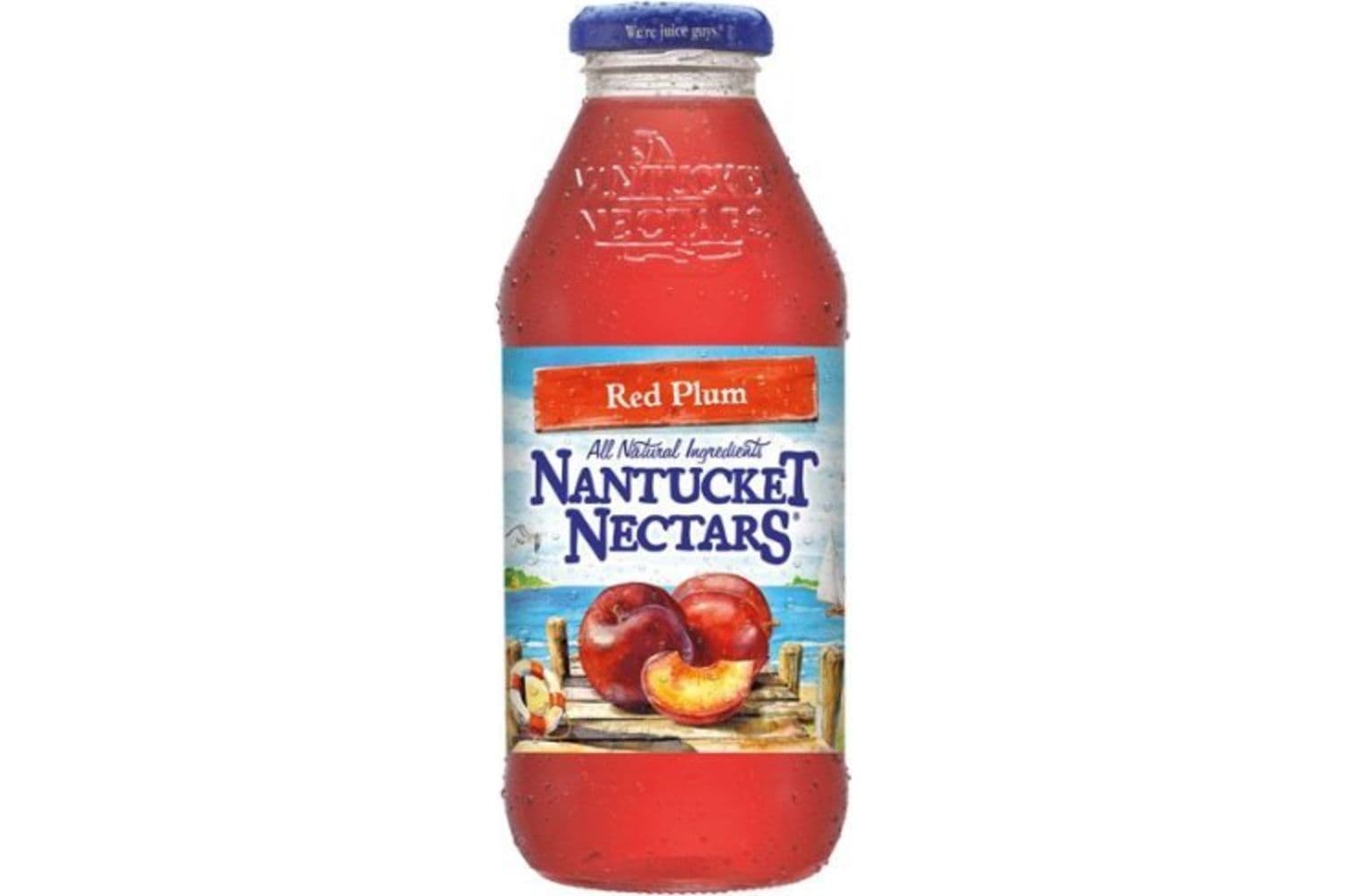 Nantucket Nectars Red Plum Juice 15.9oz Plastic Bottle